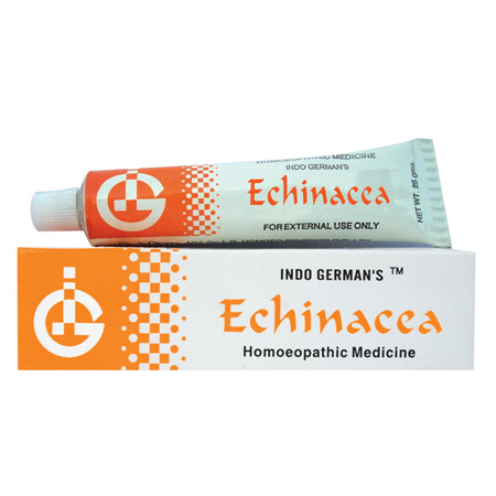 ECHINACEA ECHINACEA